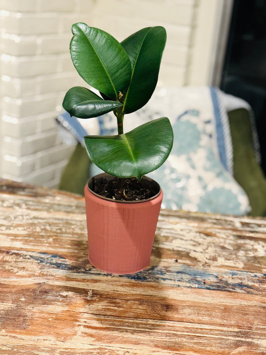 Grooved Plant Pot