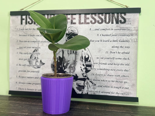 Grooved Plant Pot